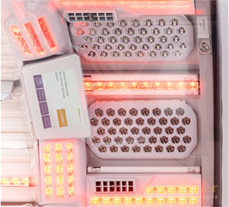 Над 200 високоефективни Beauty Light LED диода осигуряват ефективна грижа за кожата на цялото тяло